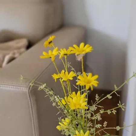 شقة Julietta سفينويتشي