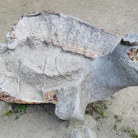 Julietta سفينويتشي